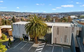 Areca Launceston